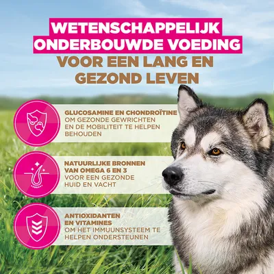 Eukanuba Grain Free Senior Large & Giant Zeevis