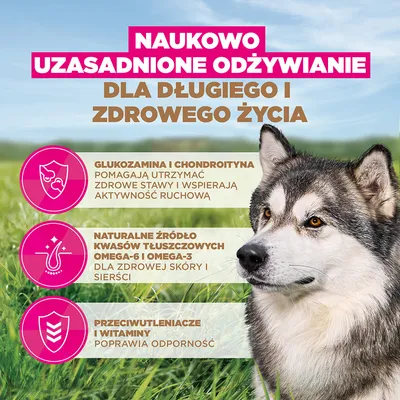 Eukanuba Grain Free Senior Large & Giant, ryba morska