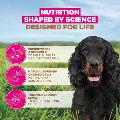 Eukanuba Grain Free Adult med vilt