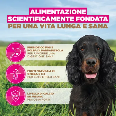 Eukanuba Grain Free Adult Selvaggina