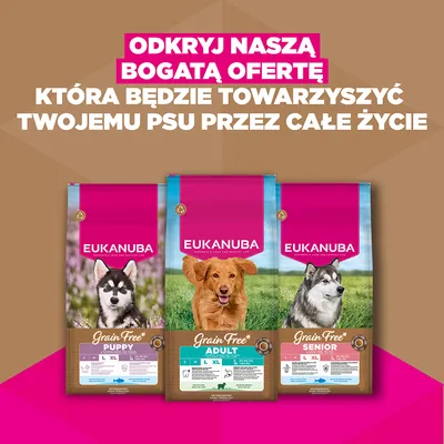 Eukanuba Grain Free Adult Large, jagnięcina