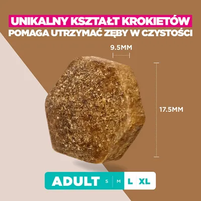 Eukanuba Grain Free Adult Large, jagnięcina