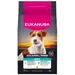 Eukanuba Adult Breed Care Specific Jack Russell Terrier