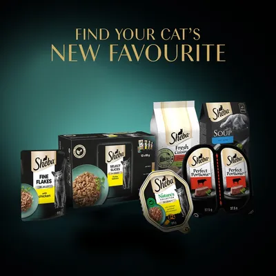 Sheba cat food range including Fine Flakes with chicken, Select Slices in gravy, Fresh Cuisine, Soup with tuna, Nature’s Collection, and Perfect Portions. Text: Find your cat’s new favourite.