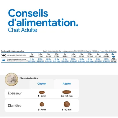 Recommandation d’alimentation pour chats adultes selon le poids : 2–6,5 kg, quantité journalière 20–72 g. Comparaison de la taille et de l’épaisseur des croquettes pour chatons et adultes. Toujours mettre de l’eau fraîche à disposition.