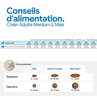 Recommandation d’alimentation pour chiens adultes medium et maxi : quantités journalières selon le poids, tailles des croquettes et diamètre comparés à une pièce de 1 euro. Recommandation d’alimentation pour chiens adultes medium et maxi : quantités journalières selon le poids, tailles des croquettes et diamètre comparés à une pièce de 1 euro.