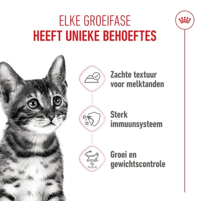 Royal Canin Sterilised Kitten in Saus