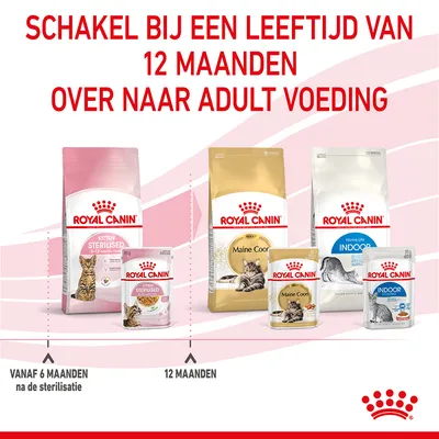 Schakel bij een leeftijd van 12 maanden over naar adult voeding. Royal Canin Kitten Sterilised tot 12 maanden, daarna Royal Canin Maine Coon Adult of Indoor Adult. Vanaf 6 maanden na sterilisatie.