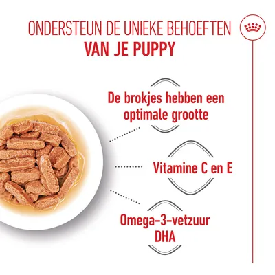 Royal Canin Medium Puppy Hondenvoer in Saus