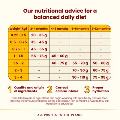 Almo Nature HFC Kitten Chicken