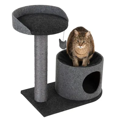 Arbre à chat gris avec griffoir en corde, plateforme surélevée, niche ronde et jouet suspendu ; un chat tigré assis sur la niche. Matériaux visibles : tissu, corde.