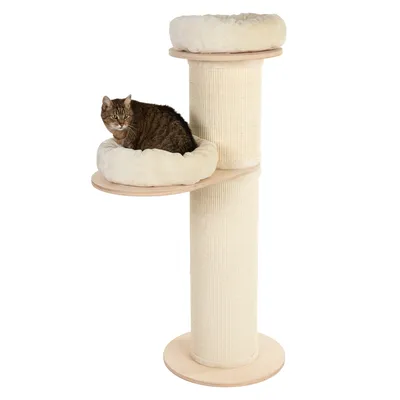 Cat tree with two wooden resting platforms and beige cushions, cat sitting on lower platform. Sisal-wrapped post for claw care.