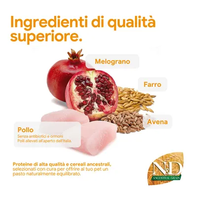Componenti: pollo senza antibiotici né ormoni, melagrana, farro, avena. Proteine di alta qualità e cereali antichi per un pasto equilibrato. N&D Ancestral Grain. Componenti: pollo senza antibiotici né ormoni, melagrana, farro, avena. Proteine di alta qualità e cereali antichi per un pasto equilibrato. N&D Ancestral Grain.