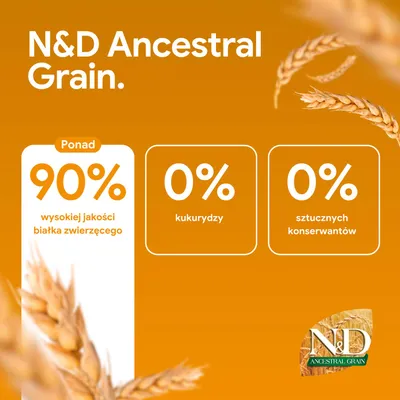 N&D Ancestral Grain. Ponad 90% wysokiej jakości białka zwierzęcego, 0% kukurydzy, 0% sztucznych konserwantów. N&D Ancestral Grain. Ponad 90% wysokiej jakości białka zwierzęcego, 0% kukurydzy, 0% sztucznych konserwantów.
