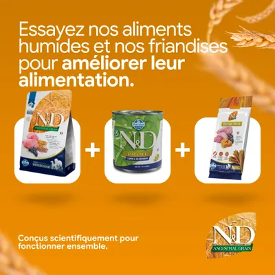 N&D Ancestral Grain croquettes, N&D Prime nourriture humide agneau & myrtille et N&D Dental Treat. Développé scientifiquement pour une alimentation combinée. N&D Ancestral Grain croquettes, N&D Prime nourriture humide agneau & myrtille et N&D Dental Treat. Développé scientifiquement pour une alimentation combinée.