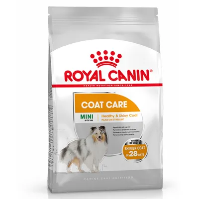 Pachet Royal Canin Coat Care Mini, text vizibil: Healthy & Shiny Coat, pentru câini până la 10 kg, rezultate dovedite: blană mai strălucitoare în 28 de zile, imagine cu un câine.