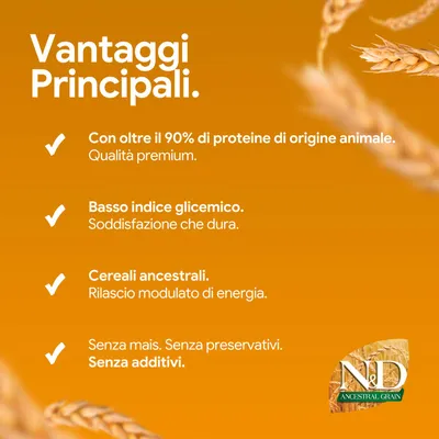 Vantaggi principali: oltre il 90% di proteine animali, indice glicemico basso, cereali antichi, senza mais, senza conservanti, senza additivi. N&D Ancestral Grain.