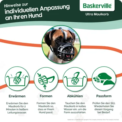 Anleitung zur individuellen Anpassung des Baskerville Ultra Maulkorbs: Erwärmen, Formen, Abkühlen und Passform prüfen. Schritt-für-Schritt-Erklärung mit Symbolen und Text.
