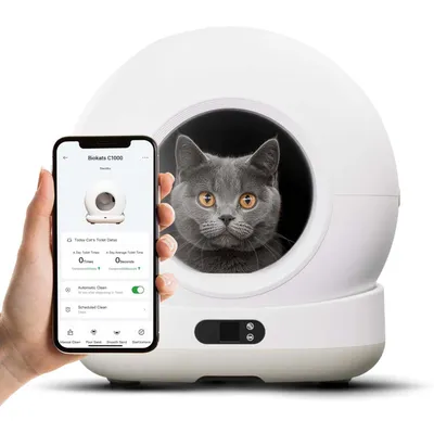 Kattetoilet med rund indgang, grå kat sidder i den. Smartphone viser app-styring: Biokats C1000, automatisk rengøring og aktuelle toiletoplysninger. Kattetoilet med rund indgang, grå kat sidder i den. Smartphone viser app-styring: Biokats C1000, automatisk rengøring og aktuelle toiletoplysninger.