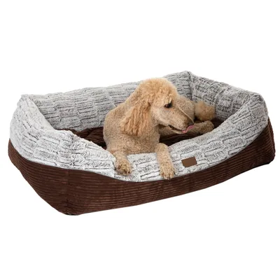 Hund liegt in einem braunen und grauen Hundebett mit weicher Polsterung.
