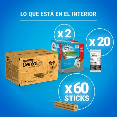 Contenido del pack Purina Dentalife: 2 cajas, 20 sobres y 60 sticks visibles. Texto: 'Lo que está en el interior', 'x2', 'x20', 'x60 sticks'.