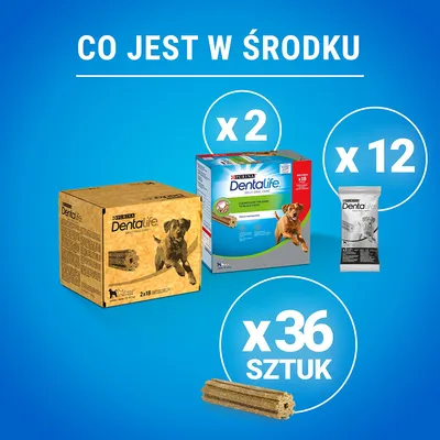 Purina Dentalife – opakowanie zbiorcze, 2 pudełka x18 sztuk, 12 saszetek, razem 36 sztuk przysmaków dentystycznych dla psa. Napis: Co jest w środku.