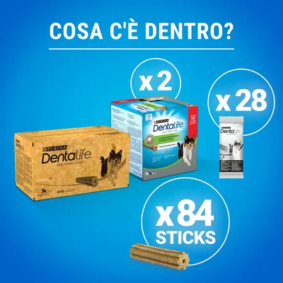 Purina Dentalife Daily Oral Care per cani, confezione da 2 scatole, 28 bustine e 84 sticks. Testo visibile: 'Cosa c'è dentro?', 'x2', 'x28', 'x84 sticks'.