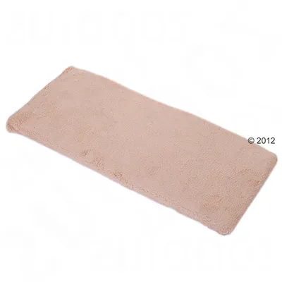 Tapis rectangulaire beige en tissu, sans motifs ni marques visibles, présenté sur fond blanc.