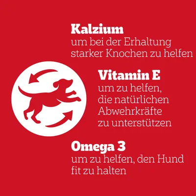 Kalcium az erős csontokért, E-vitamin az immunrendszer támogatásához, Omega-3 a kutya fittségéért. Kutyát ábrázoló illusztráció nyilakkal.