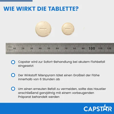Capstar Tabletten zur Sofort-Behandlung bei akutem Flohbefall. Wirkstoff Nitenpyram tötet Flöhe innerhalb von 6 Stunden. Ganzjährige vorbeugende Behandlung empfohlen.