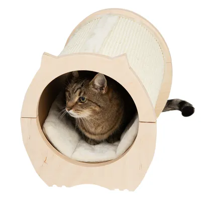 Katt i cylinderformat klösträd av ljust trä med mjuk kudde och sisalmatta på utsidan. Produkten visar både liggplats och klösdel.