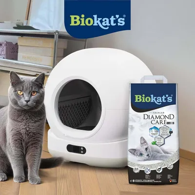Biokat's Premium Diamond Care Classic kattegrus, 8 liter, emballage vist ved siden af kattetoilet og grå kat. Biokat's Premium Diamond Care Classic kattegrus, 8 liter, emballage vist ved siden af kattetoilet og grå kat.