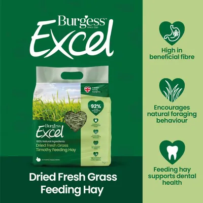 Burgess Excel Dried Fresh Grass Timothy Feeding Hay - 1kg Burgess Excel Dried Fresh Grass Timothy Feeding Hay - 1kg