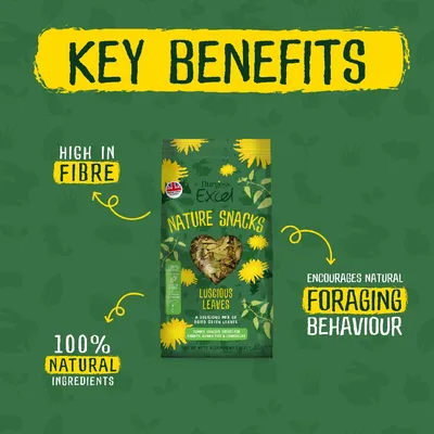 Burgess Excel Nature Snacks Luscious Leaves - Saver Pack: 3 x 60g Burgess Excel Nature Snacks Luscious Leaves - Saver Pack: 3 x 60g