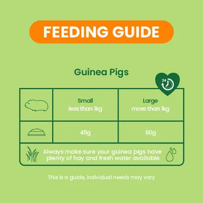 Burgess Excel Adult Guinea Pig Nuggets with Mint - 1.5kg Burgess Excel Adult Guinea Pig Nuggets with Mint - 1.5kg