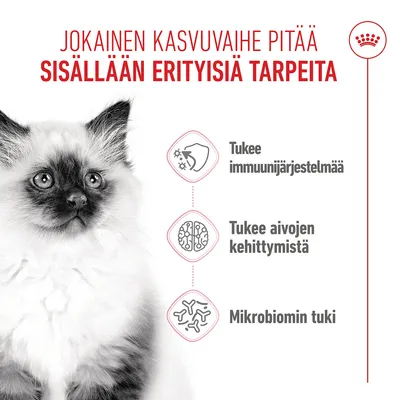 Grafiikka, jossa on kissa ja kolme symbolia: immuunijärjestelmän tukeminen, aivojen kehityksen tukeminen, mikrobiomin tukeminen. Teksti suomeksi. Grafiikka, jossa on kissa ja kolme symbolia: immuunijärjestelmän tukeminen, aivojen kehityksen tukeminen, mikrobiomin tukeminen. Teksti suomeksi.