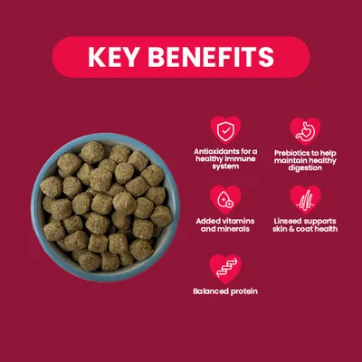 Burgess Excel Rat Nuggets - 1.5kg