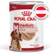 Royal Canin Medium Adult Mousse