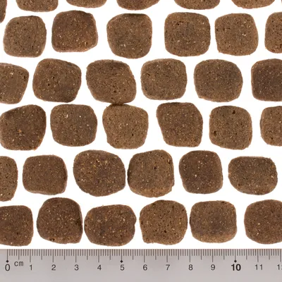 Ruskeita, neliönmuotoisia kuivaruokanappuloita viivaimen vieressä; viivain näyttää mitan 0–12 cm nappuloiden koon arviointia varten.