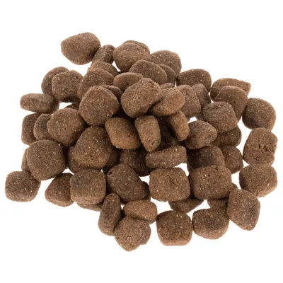 Bruine brokjes droogvoer, ongenummerd en zonder zichtbare merknaam of verpakking, gestapeld op een witte achtergrond.