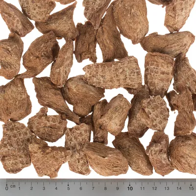 Morceaux de friandises brunes pour animaux, texture fibreuse, disposés sur fond blanc avec règle en centimètres indiquant des tailles de 2 à 5 cm environ.