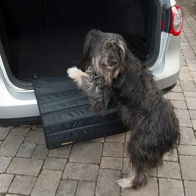 Hund använder svart rullmatta som skydd vid insteg i bilens bagageutrymme. Mattan skyddar stötfångaren mot repor.