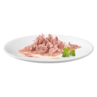 Porție de hrană umedă pentru animale, bucăți de carne roz în sos pe farfurie albă, decorată cu frunză de pătrunjel.