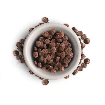 Leonardo Adult Graanvrij met Zalm Kattenvoer