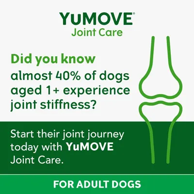 YuMOVE Joint Care for adult dogs. Almost 40% of dogs aged 1+ experience joint stiffness. Start their joint journey today with YuMOVE Joint Care.