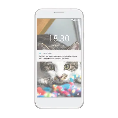 Benachrichtigung auf Smartphone: Paddock hat 16g Nass-Futter und 10g Trocken-Futter aus 'Paddocks Futterautomat' gefressen. Uhrzeit 18:30, Datum Donnerstag 11. Mai.