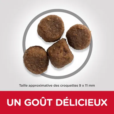 Taille approximative des croquettes 9 × 11 mm. Texte visible : UN GOÛT DÉLICIEUX.