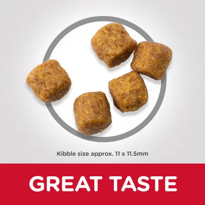 Five pieces of kibble shown with text stating kibble size approximately 11 by 11.5 millimetres and a label reading great taste.
