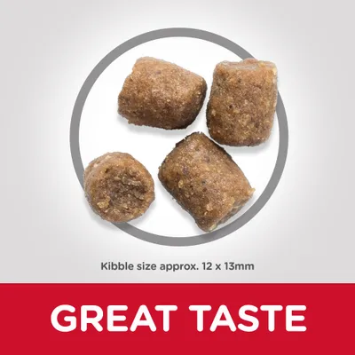 Four pieces of kibble shown with approximate size 12 x 13mm. Text highlights great taste.