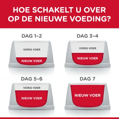 Overstapschema naar nieuwe voeding: dag 1–2 weinig nieuw voer, dag 3–4 meer, dag 5–6 helft, dag 7 alleen nieuw voer. Tekst: 'Hoe schakelt u over op de nieuwe voeding?'.